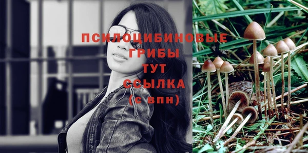кристаллы Белокуриха